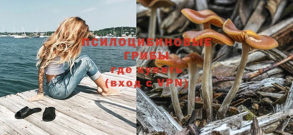 гидра Верхний Тагил
