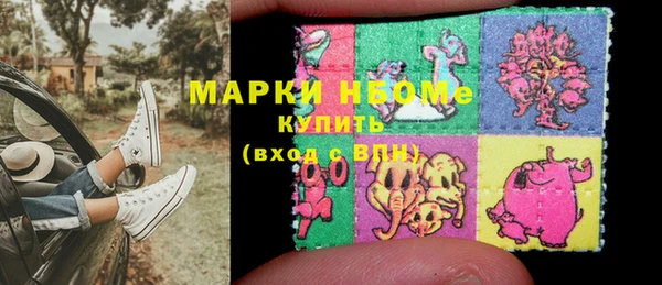 гидра Верхний Тагил
