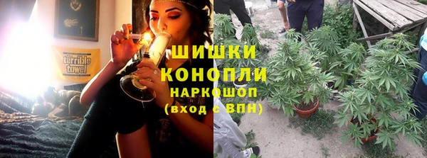 гидра Верхний Тагил
