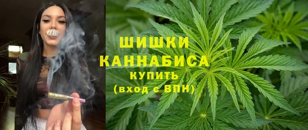 винт Верея