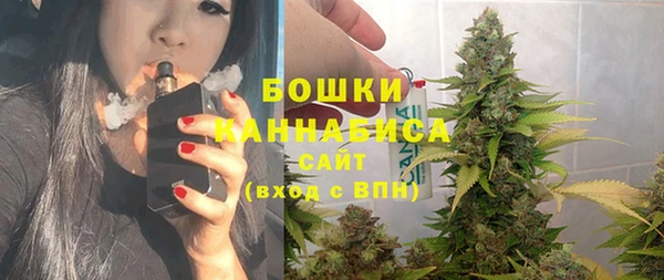 винт Верея
