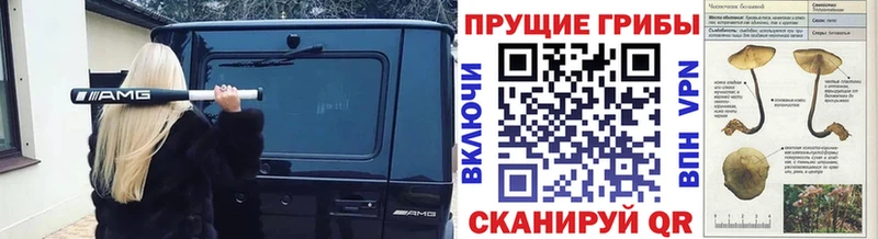 Галлюциногенные грибы мухоморы  Грязи 